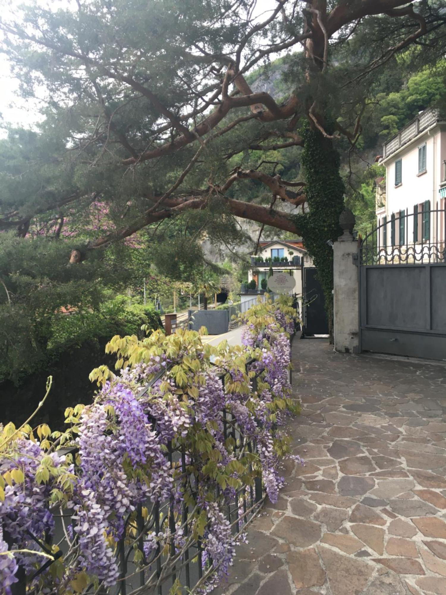 Villa Varenna Exteriér fotografie